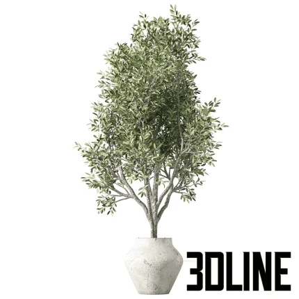 High-resolution 3D model of a large potted olive tree (Olea europaea) in a textured terracotta vase for indoor and patio visualization