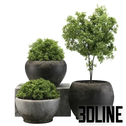 High-resolution 3D model set of potted outdoor plants and shrubs in large concrete planters for patio and garden visualization