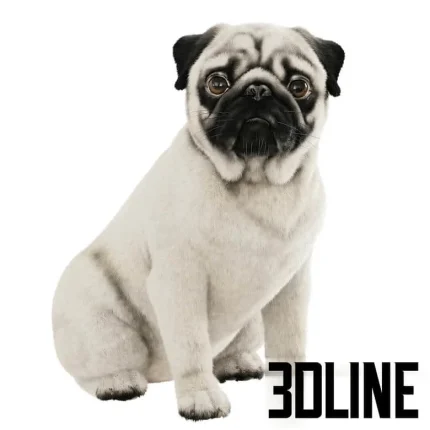 Realistic pug dog(3dline.net)