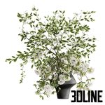 High-detail 3D model of a full bouquet of white flowers and green leaves cascading from a modern, dark grey, geometric clay pot.