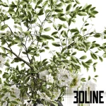 High-detail 3D model of a full bouquet of white flowers and green leaves cascading from a modern, dark grey, geometric clay pot.