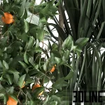 High-quality 3D model collection of indoor plants featuring a large-leaf Alocasia, a tall Dracaena, and a fruiting orange tree, styled in matte black pots and textured woven baskets.