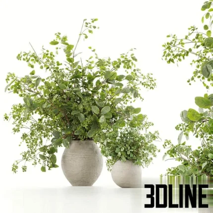 High-resolution 3D model set of lush decorative bush plants in round concrete vases for interior table staging
