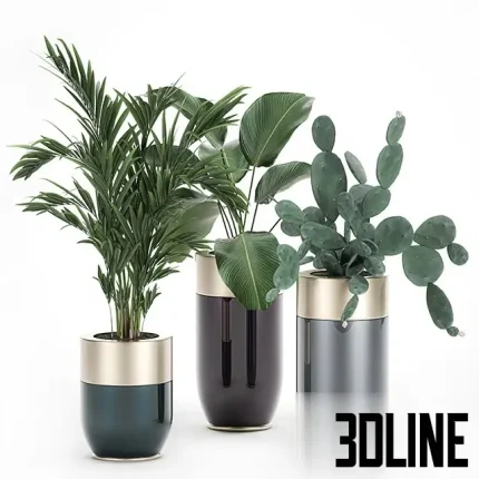 3D model collection of three luxury indoor plants (Palm, Bird of Paradise, Cactus) potted in high-end Godwin Longhi containers with glossy dark bodies and metallic gold rims.