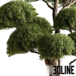 Indoor Plant 638, a stylized boxwood topiary tree with a thick, sculptural trunk and meticulously shaped, dense green foliage balls, set in a textured bronze or copper metallic cylinder planter.