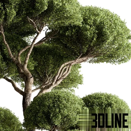 Indoor Plant 638, a stylized boxwood topiary tree with a thick, sculptural trunk and meticulously shaped, dense green foliage balls, set in a textured bronze or copper metallic cylinder planter.