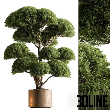 Indoor Plant 638, a stylized boxwood topiary tree with a thick, sculptural trunk and meticulously shaped, dense green foliage balls, set in a textured bronze or copper metallic cylinder planter.
