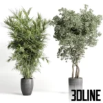 3D model collection of lush indoor plants including a tall Monstera Deliciosa, a leafy Ficus tree, and bushy shrubs, all potted in dark textured concrete planters.