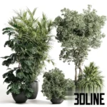 3D model collection of lush indoor plants including a tall Monstera Deliciosa, a leafy Ficus tree, and bushy shrubs, all potted in dark textured concrete planters.
