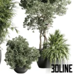 3D model collection of lush indoor plants including a tall Monstera Deliciosa, a leafy Ficus tree, and bushy shrubs, all potted in dark textured concrete planters.