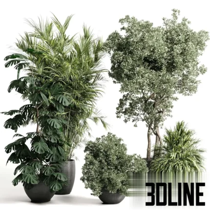3D model collection of lush indoor plants including a tall Monstera Deliciosa, a leafy Ficus tree, and bushy shrubs, all potted in dark textured concrete planters.