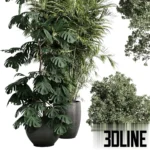 3D model collection of lush indoor plants including a tall Monstera Deliciosa, a leafy Ficus tree, and bushy shrubs, all potted in dark textured concrete planters.