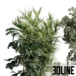 3D model collection of lush indoor plants including a tall Monstera Deliciosa, a leafy Ficus tree, and bushy shrubs, all potted in dark textured concrete planters.