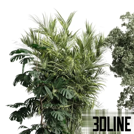 3D model collection of lush indoor plants including a tall Monstera Deliciosa, a leafy Ficus tree, and bushy shrubs, all potted in dark textured concrete planters.
