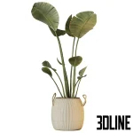 3D model set of large indoor decorative plants including Strelitzia (Bird of Paradise), Dracaena, and leafy trees, potted in textured beige ceramic planters.