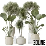 3D model set of large indoor decorative plants including Strelitzia (Bird of Paradise), Dracaena, and leafy trees, potted in textured beige ceramic planters.