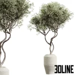 3D model set of large indoor decorative plants including Strelitzia (Bird of Paradise), Dracaena, and leafy trees, potted in textured beige ceramic planters.