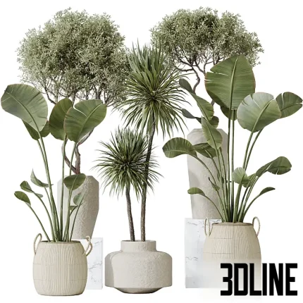 3D model set of large indoor decorative plants including Strelitzia (Bird of Paradise), Dracaena, and leafy trees, potted in textured beige ceramic planters.