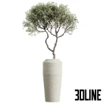 3D model set of large indoor decorative plants including Strelitzia (Bird of Paradise), Dracaena, and leafy trees, potted in textured beige ceramic planters.