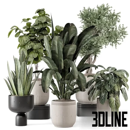 Detailed 3D model set of five indoor plants, including a large tropical palm and smaller leafy shrubs, housed in various rustic concrete and black minimalist planters.