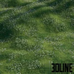 High-quality 3D visualization of a lush green grass field scattered with delicate white Anemone flowers, suitable for realistic landscape rendering.