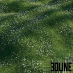 High-quality 3D visualization of a lush green grass field scattered with delicate white Anemone flowers, suitable for realistic landscape rendering.
