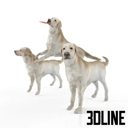 High-resolution 3D model set of three yellow Labrador dogs in different poses (standing, jumping) for realistic scene rendering