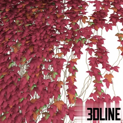 3D model of a red ivy vine fragment (Parthenocissus), featuring cascading stems with vibrant red and burgundy leaves, ideal for covering walls or fences in autumn scenes.