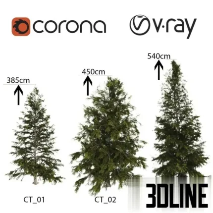3D model set of three Spruce trees in varying heights (385cm, 450cm, 540cm), featuring realistic needle textures and detailed bark, optimized for V-Ray and Corona.