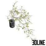 Detailed 3D model of a cascading bouquet/trailing floral arrangement with small white flowers in a modern black cylindrical vase.