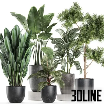 3D model collection of five tropical indoor plants including Banana Palm, Dieffenbachia, and small trees, all potted in matching modern dark grey planters.