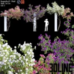 3D model set of Bougainvillea climbing plants with lush pink, purple, and white flowers growing on vertical pillars, suitable for outdoor landscaping.