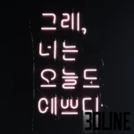 3D model of a wall-mounted neon sign set featuring Korean Hangul characters formed by glowing pink and white tubes with realistic black cabling and connectors.