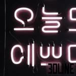 3D model of a wall-mounted neon sign set featuring Korean Hangul characters formed by glowing pink and white tubes with realistic black cabling and connectors.