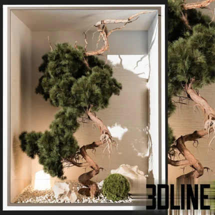 3D model of a sculptural "Cloud Pruned" Niwaki pine tree displayed inside a lit glass niche with white pebble stones, a moss ball, and driftwood.