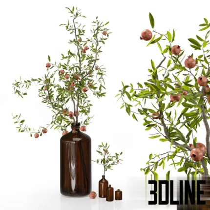 3D model set of pomegranate branches with ripe red fruit and green leaves, arranged in vintage amber glass pharmacy bottles of various sizes.