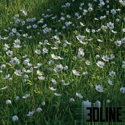 3D visualization of a lush green grass field scattered with small delicate white anemone flowers, suitable for realistic landscape rendering.