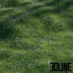 3D visualization of a lush green grass field scattered with small delicate white anemone flowers, suitable for realistic landscape rendering.
