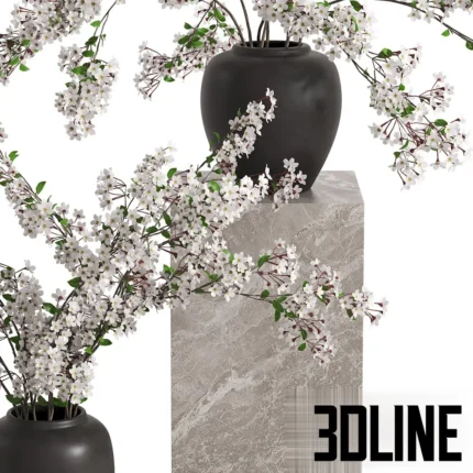 3D model of large black ceramic vases filled with expansive white cherry blossom branches, creating a dramatic spring floral arrangement.