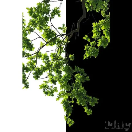 Cut out trees(3dline.net)