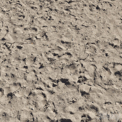 Sand beach 5(3dline.net)