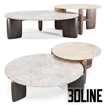 Tacchini Kanji Coffee and Side Table(3dline.net)
