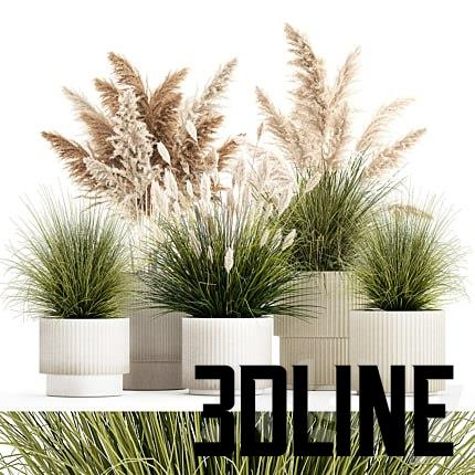 Plant collection 1461(3dline.net)