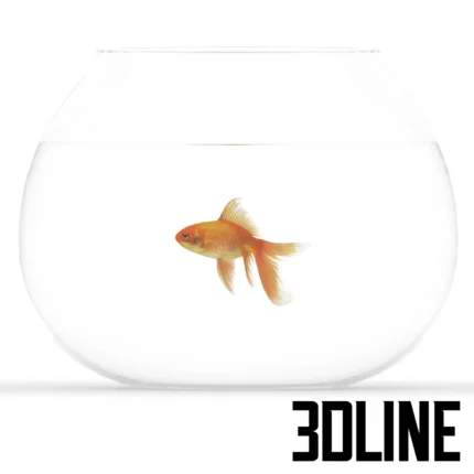 Golden fish(3dline.net)