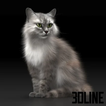 Fluffy cat with green eyes(3dline.net)