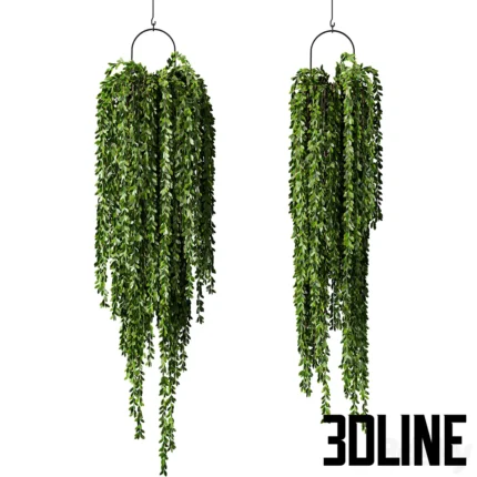 Hanging Plant Indoor Set 241(3dline.net)