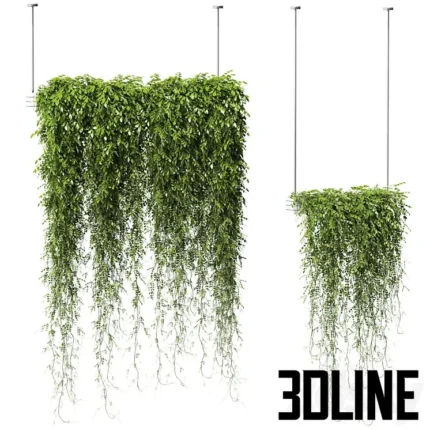 Plants in Hanging Planters(3dline.net)