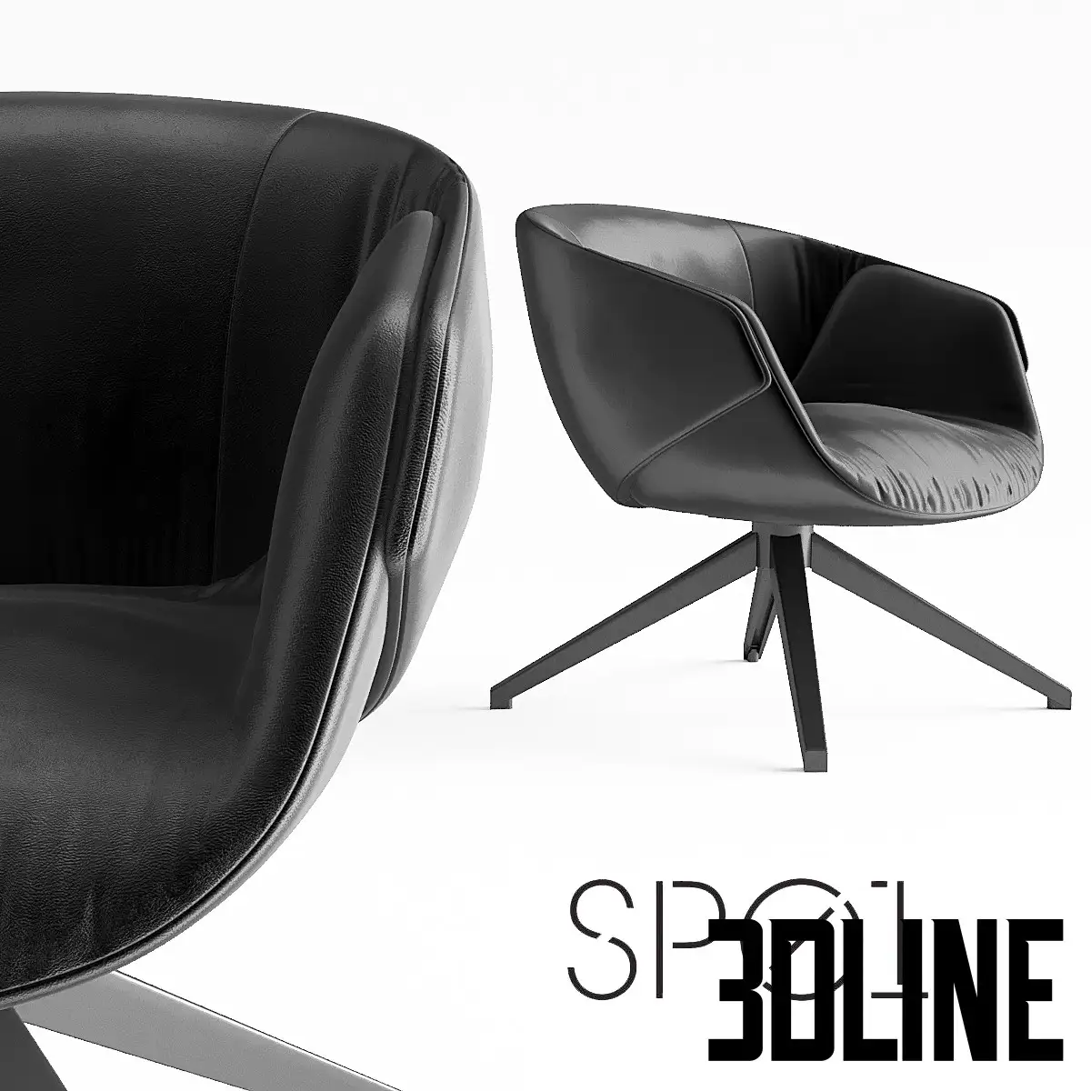 SP01 Ana(3dline.net)