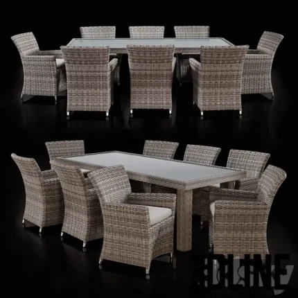 Savannah 9 Piece Outdoor Wicker Dining Set(3dline.net)