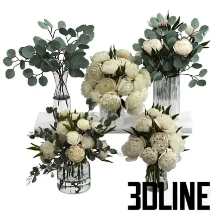 Bouquets of Eucalyptus and Peonies(3dline.net)